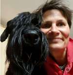 HUNDEBETREUUNG IN DEN Heebstferien-Beitrag-Bild