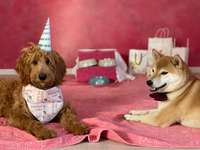 116.Fotochallenge-Beitrag-Bild