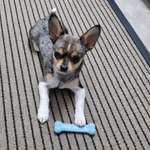 Ersteller:in Nes Profilbild