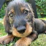 Ersteller:in Thora Profilbild