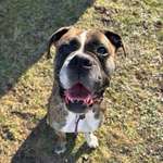 Ersteller:in Sarah Profilbild