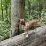 Ersteller:in Mina Profilbild