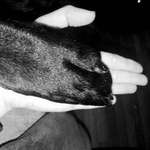 Ersteller:in Gio Profilbild