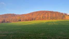 Hundeauslaufgebiet-Römerwelt-Bild