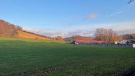 Hundeauslaufgebiet-Römerwelt-Bild