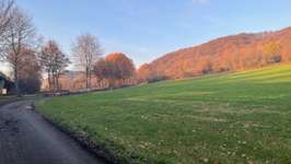 Hundeauslaufgebiet-Römerwelt-Bild