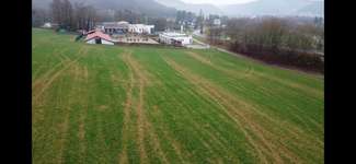 Hundeauslaufgebiet-Römerwelt-Bild