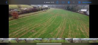 Hundeauslaufgebiet-Römerwelt-Bild