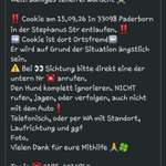 Suchmeldung-Cookie-Bild