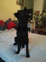 Ersteller:in Diana Profilbild