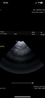 Trächtigkeit oder doch nicht?-Beitrag-Bild