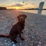 Ersteller:in Johanna Profilbild