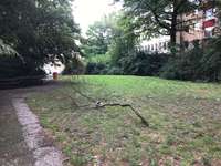 Hundeauslaufgebiet-Sophienallee 29 - 33-Bild