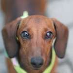 Ersteller:in Sabrina Profilbild