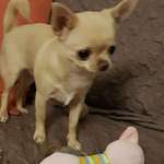 Ersteller:in Petra Profilbild