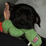 Ersteller:in Tania Profilbild