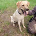 Ersteller:in Lilly Profilbild