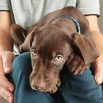 Ersteller:in Nina Vanessa Profilbild