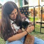 Ersteller:in Negin Profilbild