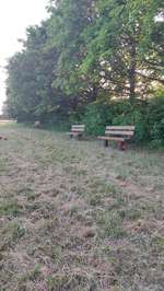 Hundeauslaufgebiet-Hundewiese am Sportparkheide-Bild