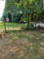 Hundeauslaufgebiet-Viehweide-Bild