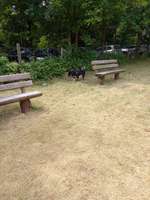 Hundeauslaufgebiet-Viehweide-Bild