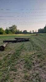 Hundeauslaufgebiet-Hundewiese am Sportparkheide-Bild