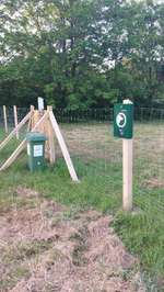 Hundeauslaufgebiet-Hundewiese am Sportparkheide-Bild