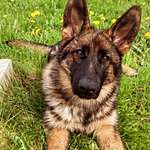 Ersteller:in Anna Profilbild