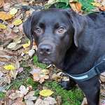 Ersteller:in Steffi Profilbild