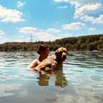 Ersteller:in Vivien Profilbild