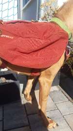 Ruffwear Frontrange Rucksack-Beitrag-Bild