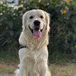 Ersteller:in Madeleine Profilbild