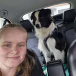 Ersteller:in Stella Profilbild