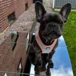 Ersteller:in Jacqueline Profilbild