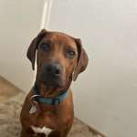 Ersteller:in Frascha Profilbild