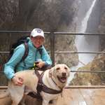 Ersteller:in Friederike Profilbild