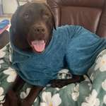 Ersteller:in Elisa Profilbild