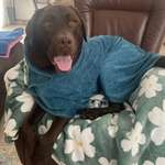 Ersteller:in Elisa Profilbild