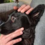 Was ist mit diesem Auge-Beitrag-Bild