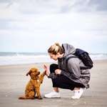 Ersteller:in Caro Profilbild