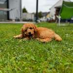 Ersteller:in Erkan Profilbild