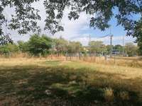 Hundeauslaufgebiet-Mannheim Wallstadt-Bild