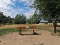 Hundeauslaufgebiet-Mannheim Wallstadt-Bild