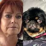 Ersteller:in Andrea Profilbild