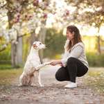 Ersteller:in Maike Profilbild