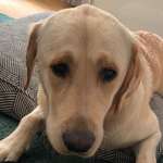 Ersteller:in Eveline Profilbild