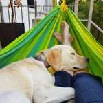 Ersteller:in Simone Profilbild