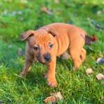 Ersteller:in Sascha Profilbild