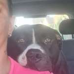 Ersteller:in Steffi Profilbild